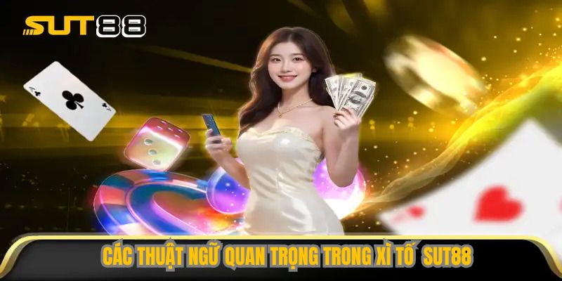 Các thuật ngữ quan trọng trong Xì Tố 